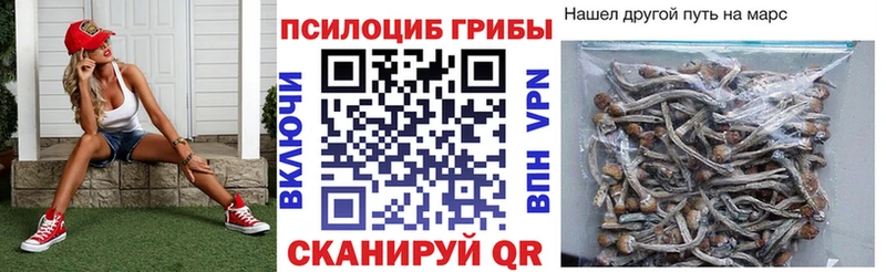 Псилоцибиновые грибы MAGIC MUSHROOMS хочу наркоту Бакал